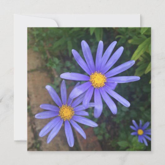 Carte de note de jardin anglais (Devant)