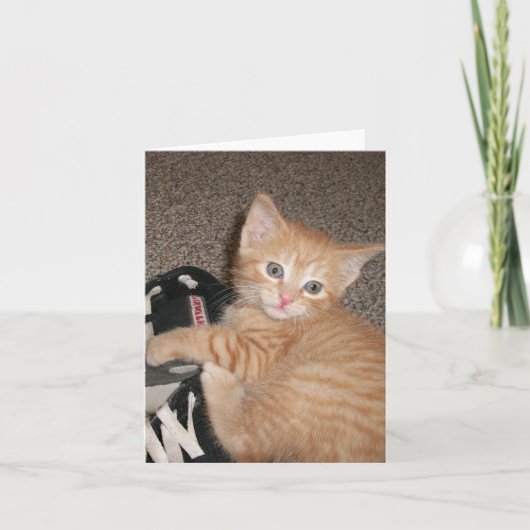 Carte de note de Kitten Eyed (Devant)