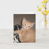 Carte de note de Kitten Eyed (Fleur jaune)