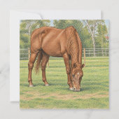 Carte de note de la collection Horse (Devant)