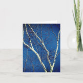 Carte de note de la nature Blue Sky Birch Tree (Devant)