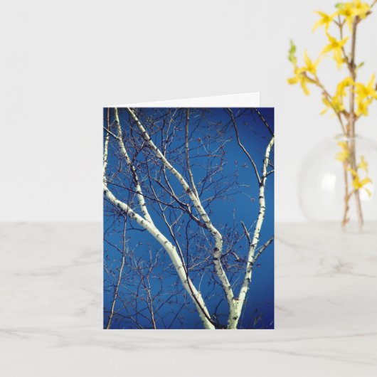Carte de note de la nature Blue Sky Birch Tree (Fleur jaune)