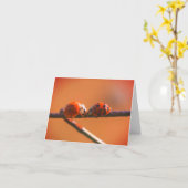 Carte de note de la nature Ladybug Friends (Fleur jaune)