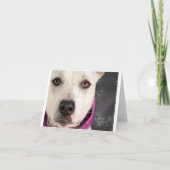 Carte de note de LDDR (Devant)