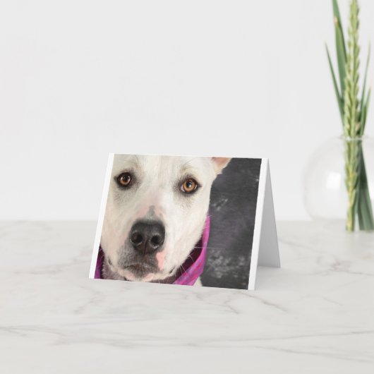 Carte de note de LDDR (Devant)