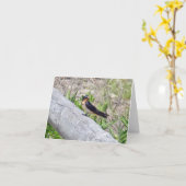 Carte de note de l'hirondelle d'étable sur la clôt (Fleur jaune)