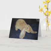 Carte de note de Lop de velventine (Fleur jaune)