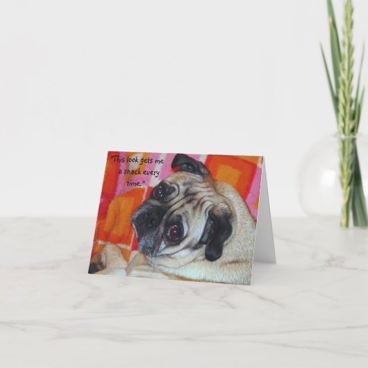 Carte de note de manipulation de canine (Devant)