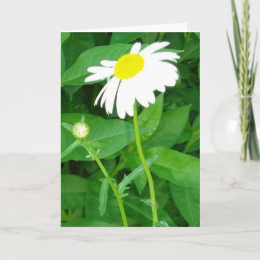 carte de note de marguerite (Devant)