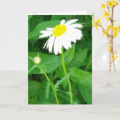 carte de note de marguerite (Fleur jaune)