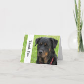 Carte de note de Merci de rottweiler d'esprit (Devant)