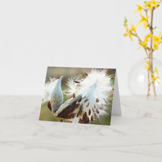 Carte de note de Milkweed : Complètement des (Fleur jaune)