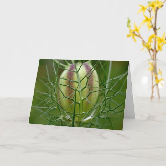 Carte de note de Mlle Jekyll (Fleur jaune)