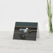 Carte de note de mouette (Devant)