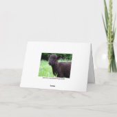 Carte de note de moutons noirs de BaaBaa (Dos)