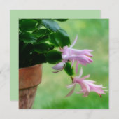 Carte de note de Noël Cactus Orchid (Devant / Derrière)