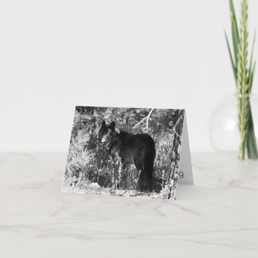 Carte de note de paquet de dent de scie (Devant)