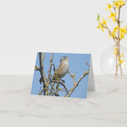 Carte de note de parfum à couronne blanche (Fleur jaune)