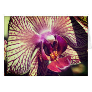 Carte de note de photographie de fleur d'orchidée