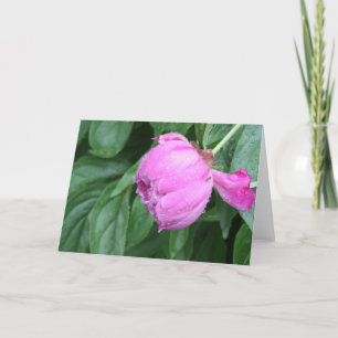 CARTE DE NOTE DE PIVOINE