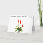 Carte de note de plante de biscuit à l'avoine par (Dos)