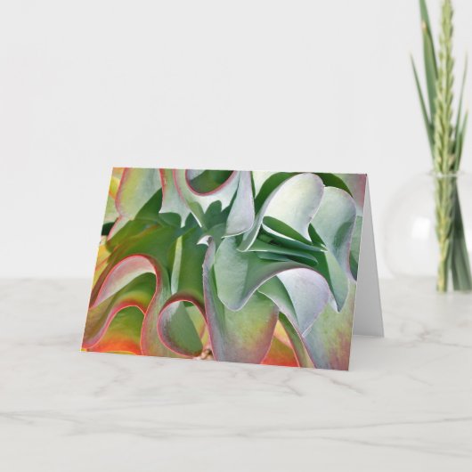 Carte de note de plante de biscuit à l'avoine par (Devant)