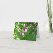 Carte de note de pois doux (Devant)