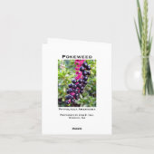 Carte de note de Pokeweed (Dos)