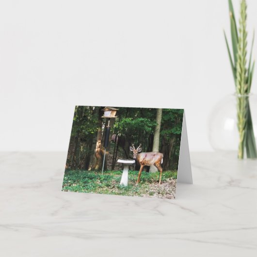 Carte de note de région boisée Young Buck (Devant)