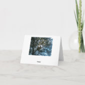 Carte de note de résolution de conflit (Dos)