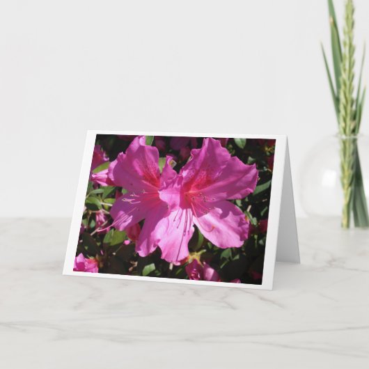 Carte de note de ressort (Devant)