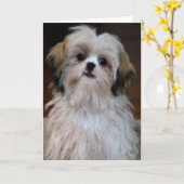 Carte de note de Shih Tzu (Fleur jaune)