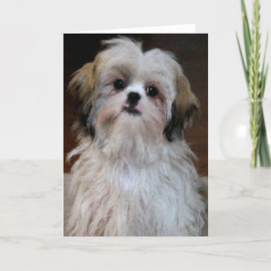 Carte de note de Shih Tzu