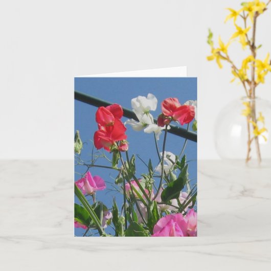 Carte de note de Sweetpeas (Fleur jaune)