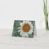 Carte de note de tournesol blanc frappant (Devant)