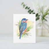 Carte de note de toutes les occasions de Bluebird (Debout devant)