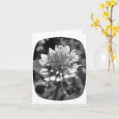 Carte de note de trèfle (Fleur jaune)