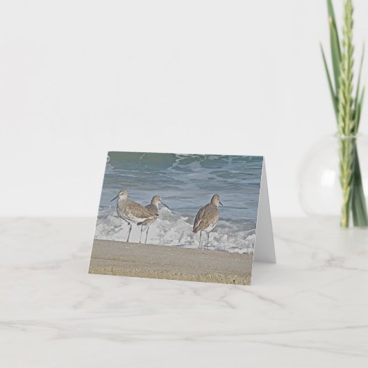 Carte de note de trio d'oiseaux de rivage (Devant)