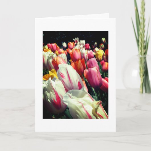 Carte de note de tulipes de tentation (Devant)