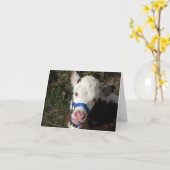 Carte de note de vache (Fleur jaune)