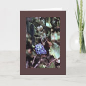 Carte de note de vigne (Devant)