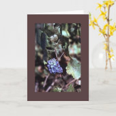 Carte de note de vigne (Fleur jaune)