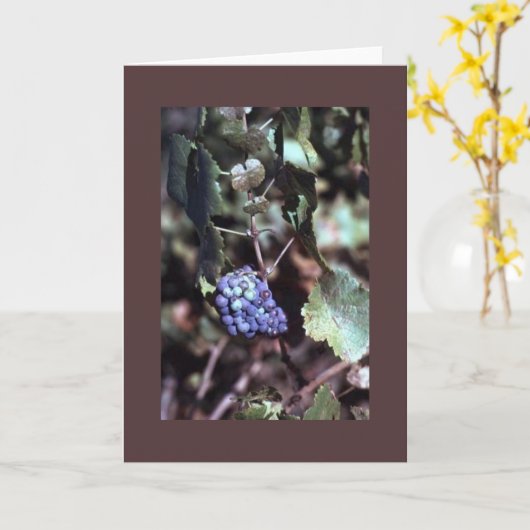 Carte de note de vigne (Fleur jaune)