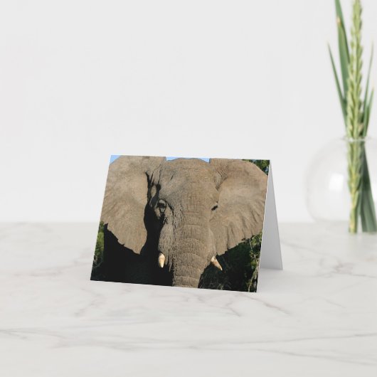 Carte de note d'éléphant de Taureau (Devant)