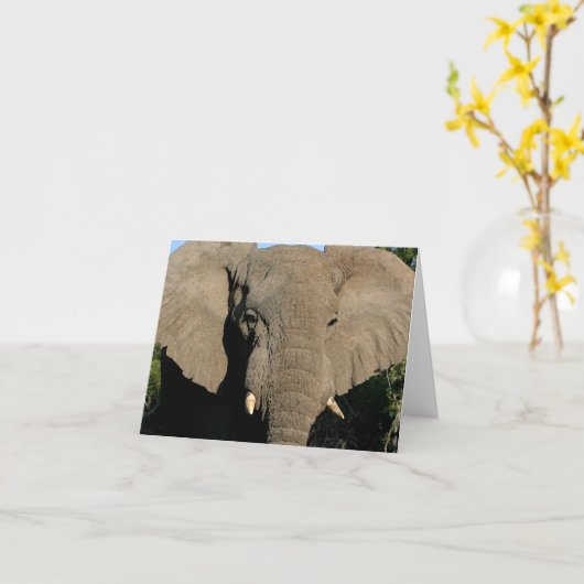 Carte de note d'éléphant taureau (Fleur jaune)