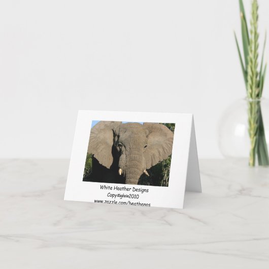 Carte de note d'éléphant taureau (Dos)