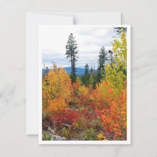 Carte de note des couleurs d'automne 10,8 cm x 14