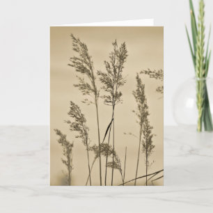 Carte de note d'herbes