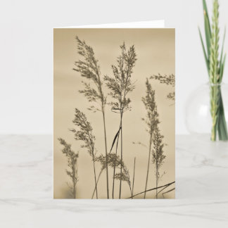 Carte de note d'herbes
