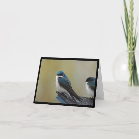 Carte de note d'hirondelle d'arbre (blanc) (Devant)